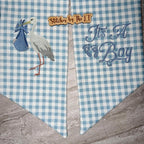 Boy Stork Gingham Sash